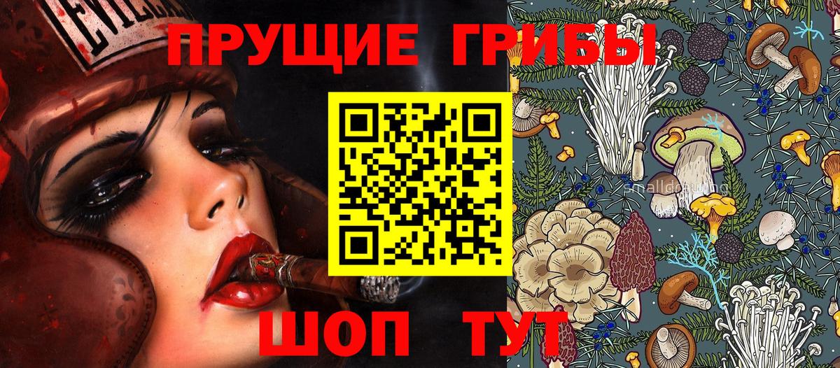 Галлюциногенные грибы GOLDEN TEACHER Родники